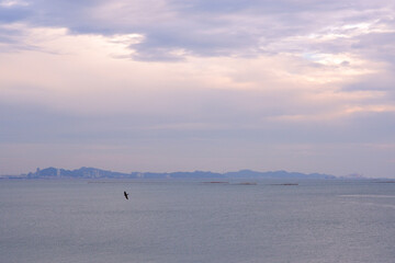 Sky with birds flying in the distance, high angle view