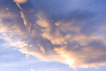 Sky with birds flying in the distance, high angle view