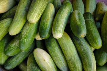 Fresh cucumbers or cucumis sativus from a traditional market. food background photo.