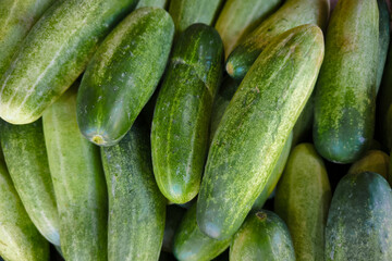 Fresh cucumbers or cucumis sativus from a traditional market. food background photo.