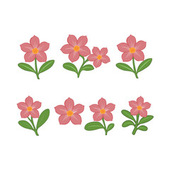 Charming Pink Flower Illustrations A Collection of Delicate Floral Designs