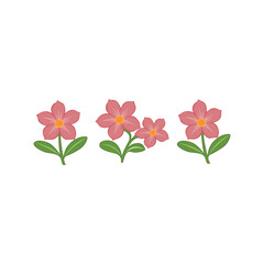 Delicate Pink Flowers Simple Floral Illustrations for Design Projects