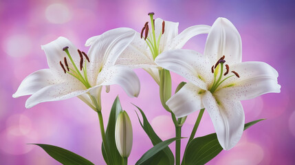 Fototapeta premium watercolor botanical Lilly flowers texture template background.Elegant wedding invitation card background . Minimal hand painted Design for wedding or Valentine's Day