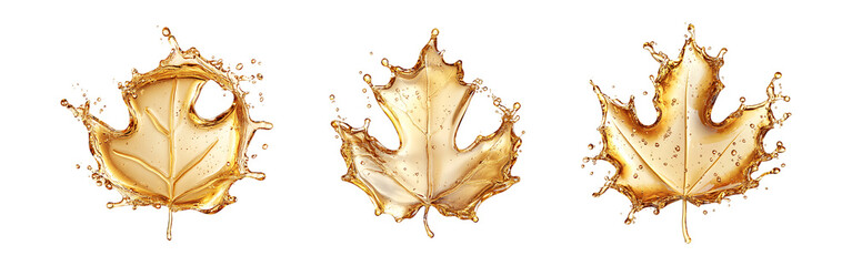Set of Maple leaf shape formed by splashes of maple syrup isolated on transparent background	