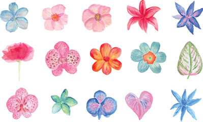 set of colorful flowers hand drawn