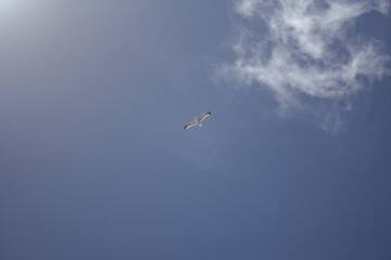 carretera, cielo, paisaje, autopista, naturaleza, nube, viajando, atardecer, horizonte, camino, sol, desierta, tempestad, viaje, verano, conducir, campestre