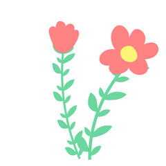 Illustration Flower Hand Drawn