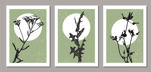 Set of trendy minimalist botanical vector illustration with branch and leaves