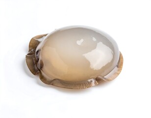 Fototapeta premium Translucent, dome-shaped object with a ruffled, brown base, isolated on white
