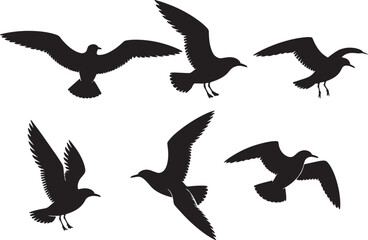 birds flock, birds silhouette, birds outline, birds shape, birds form, birds icon, birds graphic, birds drawing