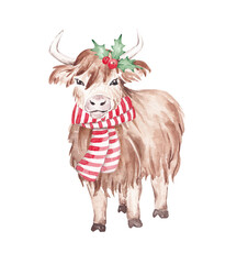 Decorated Christmas highland cow wearing scarf and holly. Merry Christmas card clip art. Hand drawn with watercolor. Rustic design. Farm xmas animal