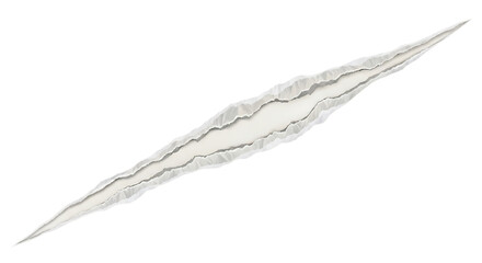 Long Diagonal Torn Paper Texture with Ragged Edges and White Interior