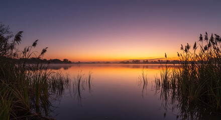 Obraz premium Serene Sunrise over Calm Lake with Reeds Misty Morning Golden Hour Landscape