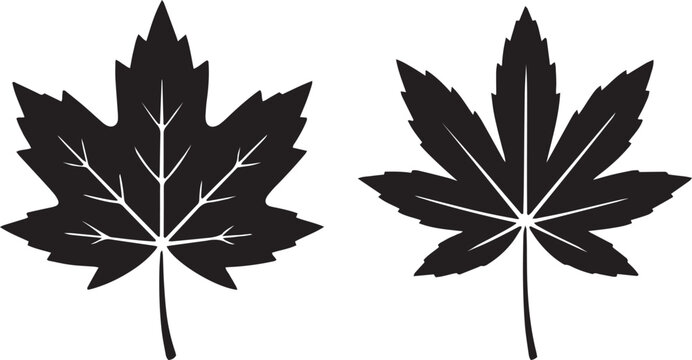 maple leaf icon, maple silhouette, leaf vector, maple leaf clipart, maple leaf outline, maple leaf shape, maple leaf art