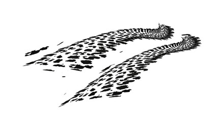 Traces of car, motorcycle tread. Curved realistic traces of tires of wheels from different types of tread vector png. Car wheels on disks.	
