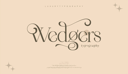 Luxury wedgers alphabet letters font with tails typography elegant classic serif fonts and number decorative vintage retro concept for logo branding vector illustration