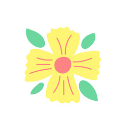 Illustration Flower Hand Drawn