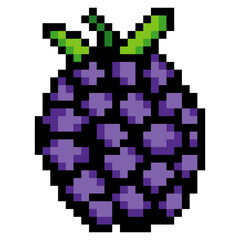 Blackberry fruit with pixel art isolated on white background