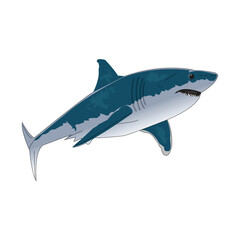 Fototapeta premium A Marine logo with big blue shark and Shark attack