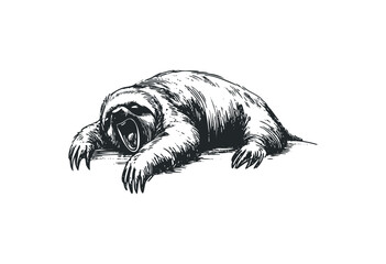 Yawning sloth illustration with detailed fur and claws. Vector retro hand drawn illustration