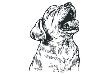 Detailed sketch of a dog with open mouth and tongue out. Vector retro hand drawn illustration