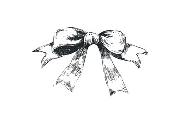 Sketch of a ribbon bow with flowing tails in detailed line art. Vector retro hand drawn illustration