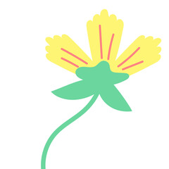 Illustration Flower Hand Drawn