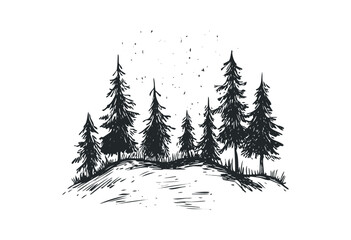 Hand-drawn pine trees in forest scene sketch illustration. Vector retro hand drawn illustration