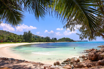 Idyllic Tropical Beach Scene