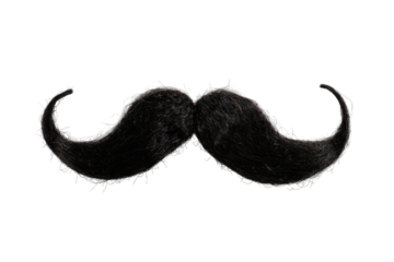 Curly Black Mustache, Costume Prop Accessory