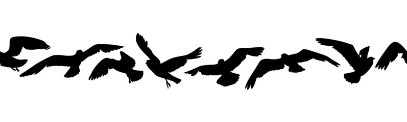 Flying birds silhouette seamless border. Flock of birds in sky motion. Black bird shapes isolated on white. Horizontal flying pattern for banner, nature design, header or divider.