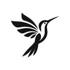 Obraz premium Colibri hummingbird logo icon design