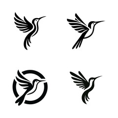 Obraz premium Colibri hummingbird logo icon design
