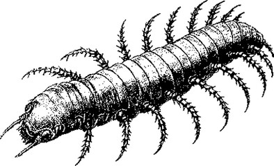 Dark Aesthetic Dithering Graphic Element