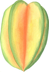 Watercolor hand painted illustrations of carambola star fruit. Hand drawn tropical juicy food clipart for your design.