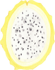 Watercolor hand painted illustrations of pitahaya amarillo fruit. Hand drawn tropical juicy food clipart for your design.