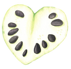 Watercolor hand painted illustrations of cherimoya fruit. Hand drawn tropical juicy food clipart for your design.