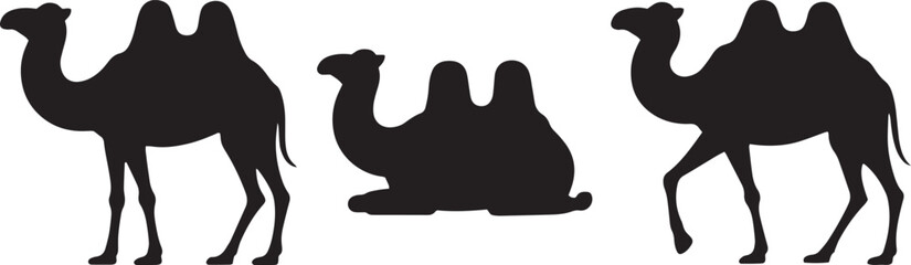 camel silhouette, desert camel silhouette, walking camel silhouette, camel caravan silhouette, camel head silhouette
