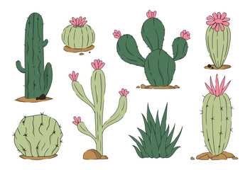 Set of beautiful aloe cacti and leaves. Exotic prickly plants. Vector hand drawn cactus illustration set.