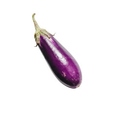 Single purple eggplant isolated on white background