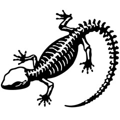 Gecko bone silhouette