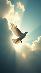 peaceful scene of a dove in cloudy sky, soft beam of light breaking through clouds