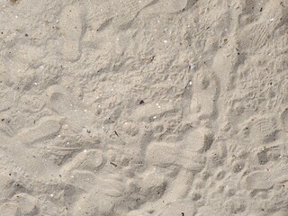 sand texture background