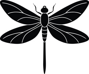 dragonfly on a white background