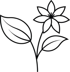 black and white flower vector
