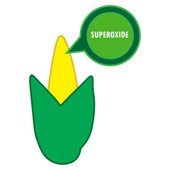 corn with superoxide illustration