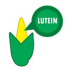 Corn with Lutein Illustration