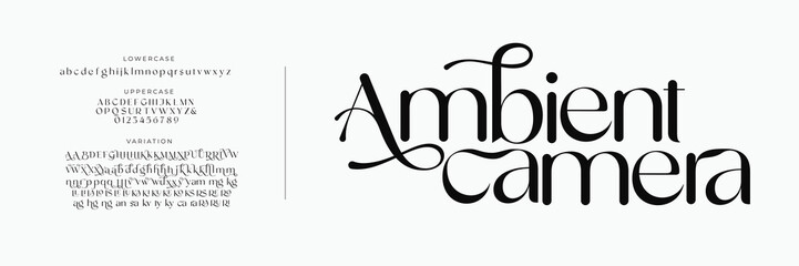 Elegant classic alphabet serif fonts decorative wedding retro concept. Typography Retro vintage alphabet letters fonts and number. vector illustration