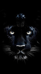 Black Panther animal
