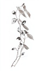 Gouache Plant Tendrils: Five Tangled Strands on White